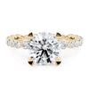 Michael M CROWN 18K White Gold Engagement Ring R791-2