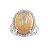 14K White Gold Diamond Opal Ring, 5.4g, Size 6.0