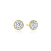 Tacori Bloom Diamond Stud Earrings FE67075