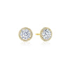 Tacori Bloom Diamond Stud Earrings FE6708