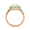 Michael M Trinity Diamond Engagement Ring R806-1.5