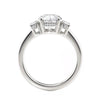 Michael M Trinity Diamond Engagement Ring R806-1.5