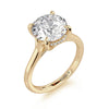 Michael M Crown Hidden Halo Solitaire Engagement Ring R828-3 Round