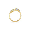 Michael M Montage Cluster Bypass Ring F412